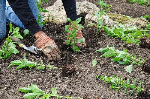 Gardening team member assisting a homeowner during an on-site visit