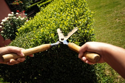 The image shows two hands holding garden pruning shears, trimming a dense, neatly maintained hedge with small, bright green leaves. The hedge is situated in a well-kept garden area with a lush, green lawn on the right side and a section of flower beds with blooming plants in the background. The setting appears to be outdoors on a sunny day, with natural light illuminating the vibrant foliage and the tools used for gardening tasks. The garden's layout includes defined hedge borders, a mix of grassy areas, and ornamental plants, reflecting careful landscape maintenance typical of professional gardening services in Stockwell. This scene highlights the activity of hedge trimming, a key service offered by Gardening Services Stockwell, supporting detailed lawn and shrub care within outdoor spaces.