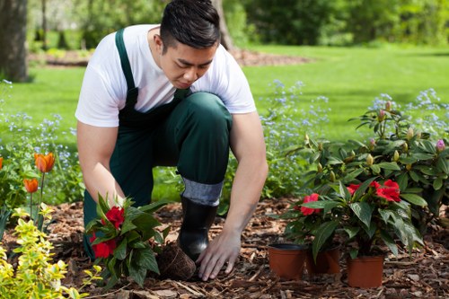 Gardener performing maintenance on a residential garden lawn in Stockwell