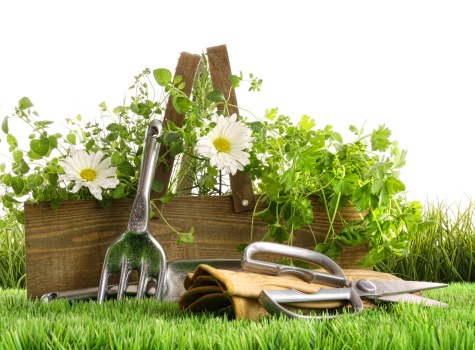 Written free quote and itemised gardening price breakdown